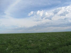 IMG_4914